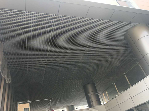 ���������ָ�դ